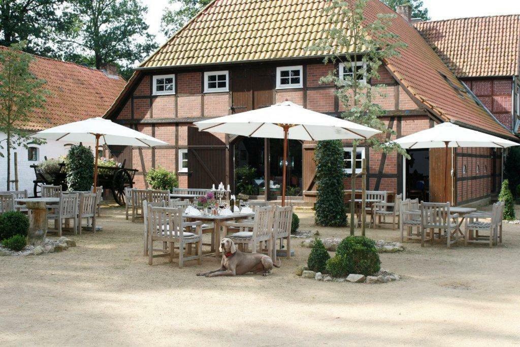 Eggershof Apartment Soltau Bagian luar foto